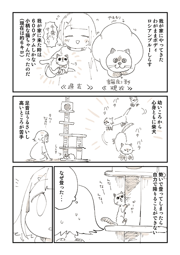 展開に猫飼いから「笑って鼻水が出た」「超分かる」 『鈍くさい子猫』が4年後? https://t.co/skd0vxbvNl @grapeejpより 