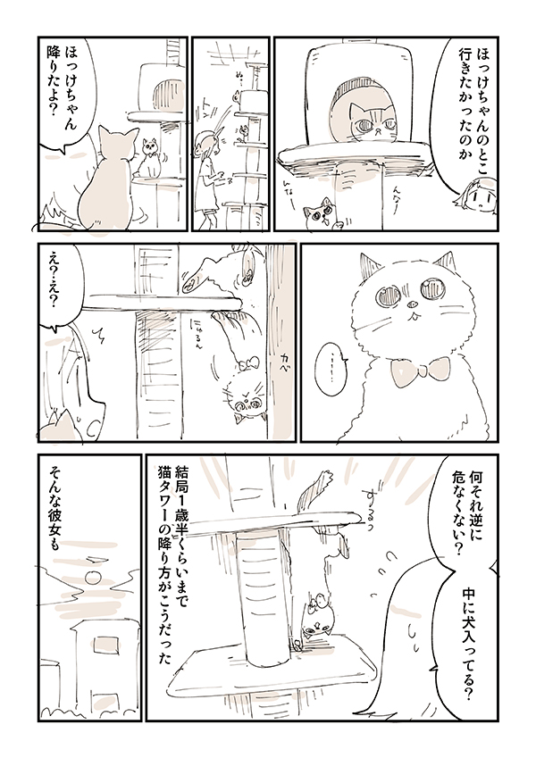 展開に猫飼いから「笑って鼻水が出た」「超分かる」 『鈍くさい子猫』が4年後? https://t.co/skd0vxbvNl @grapeejpより 