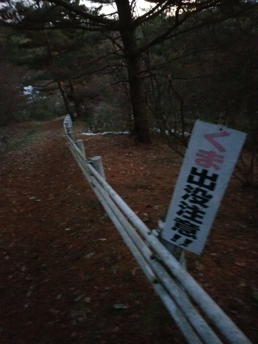 Bob420nd's tweet photo. #スキー が忙しすぎてTwitterとかサボってますが、実は #STEPN やってます🚶‍♂️

今日は夕日を見に家の近くの裏山っぷん🌇

夏に熊見たことあるから冬とはいえ少し怖くて音量MAXにしてたけど、冬眠の妨げとか思うとどっちにしろ怖いっぷん🐻 https://t.co/XqhvDwAynJ