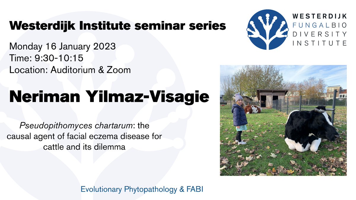 _Westerdijk_'s tweet photo. Looking forward to @nerimanyilmaz82 talk this morning here at @_Westerdijk_, about #pseudopithomyces, the causal agend of facial eczema disease for cattle. @Fabiteam1 @JosHoubraken #fungi ps: picture taken at petting zoo in Utrecht :-) https://t.co/VnJQ8IM5zv
