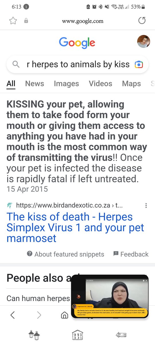MissSassyBear1's tweet photo. #foodiebeauty #herpes #stdqueen did you know kissing animals like you kiss harry and transfer the herpes virus. #animal abuser https://t.co/NSUV3CMvSV