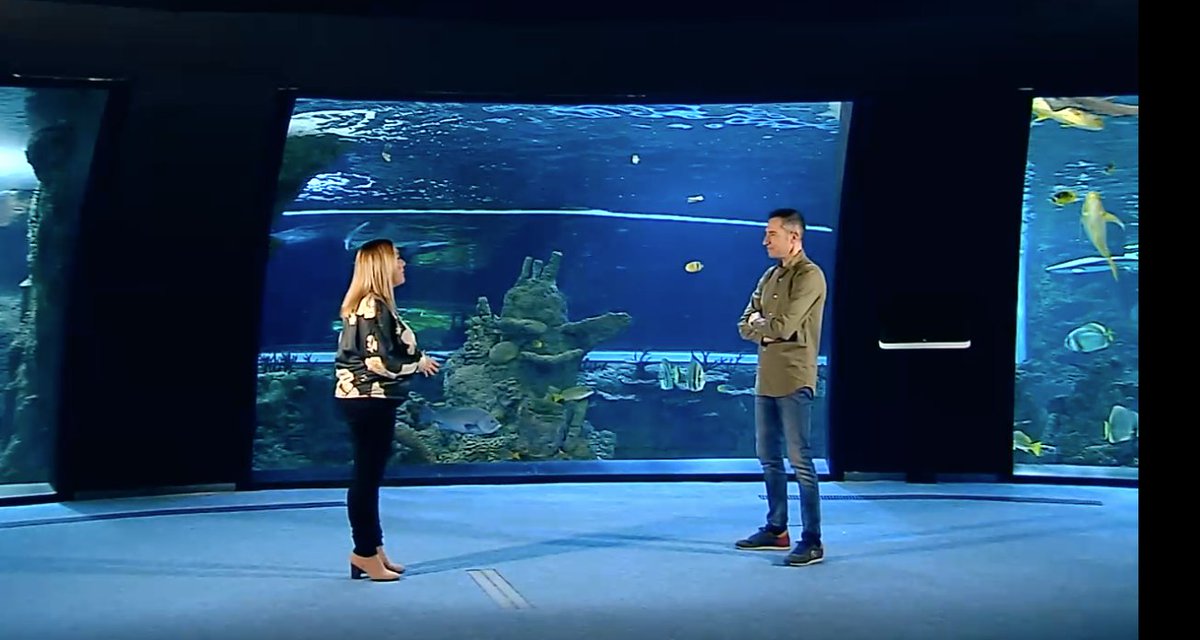 Parque De las Ciencias (@parqueciencias) on Twitter photo Comenzamos la semana con una recomendación para ver👇
🎥 La entrevista que el programa <a href="/ConcienciaRTVA/">Conciencia</a> ha hecho, desde el #BioDomo, al zoólogo Marcos Moleón sobre un estudio en el que han comprobado el miedo que tienen los animales del planeta a los humanos. Comenzamos la semana con una recomendación para ver👇
🎥 La entrevista que el programa <a href="/ConcienciaRTVA/">Conciencia</a> ha hecho, desde el #BioDomo, al zoólogo Marcos Moleón sobre un estudio en el que han comprobado el miedo que tienen los animales del planeta a los humanos.