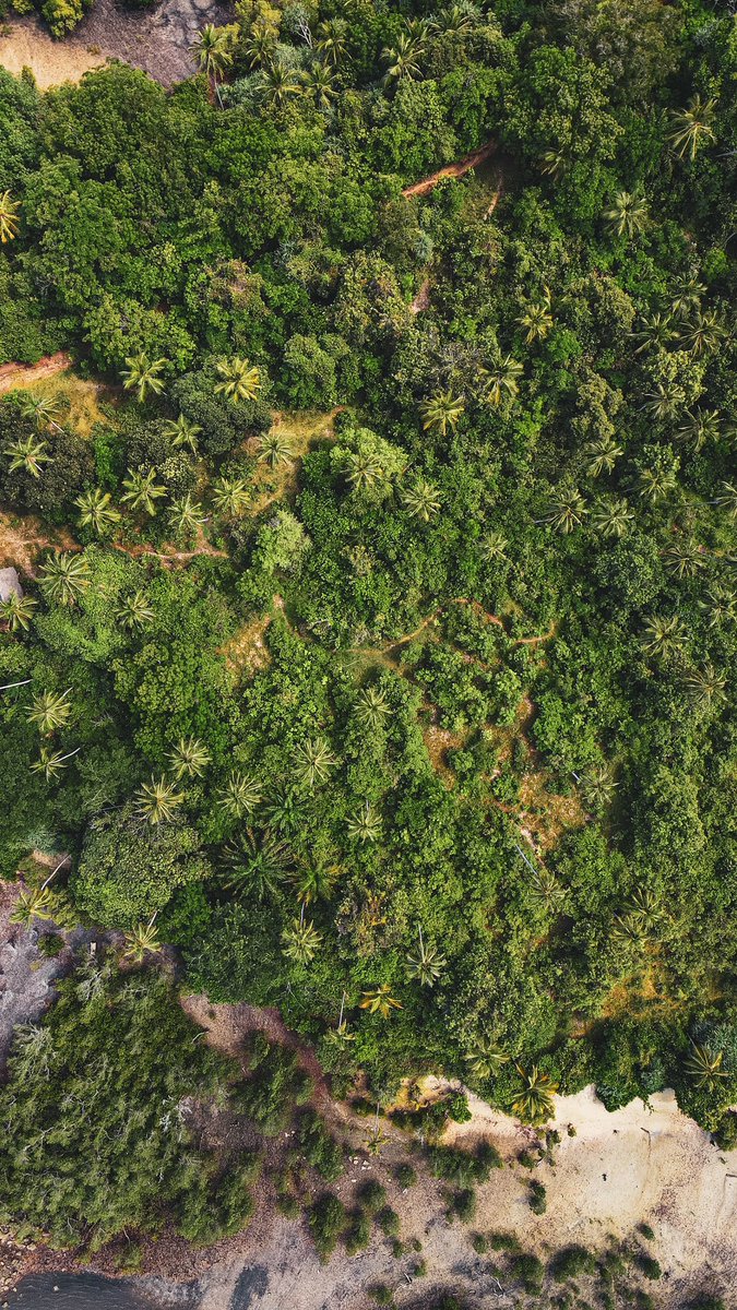 thorkelyimo's tweet photo. #ExploreTz #DjiMavicAir2 https://t.co/e8RIkekpvH