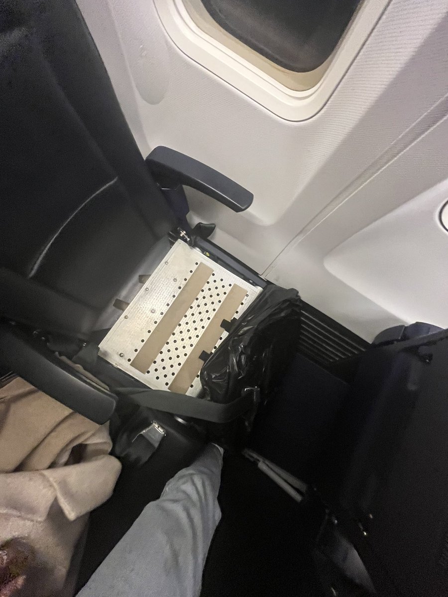 Lucy Wills tweet media