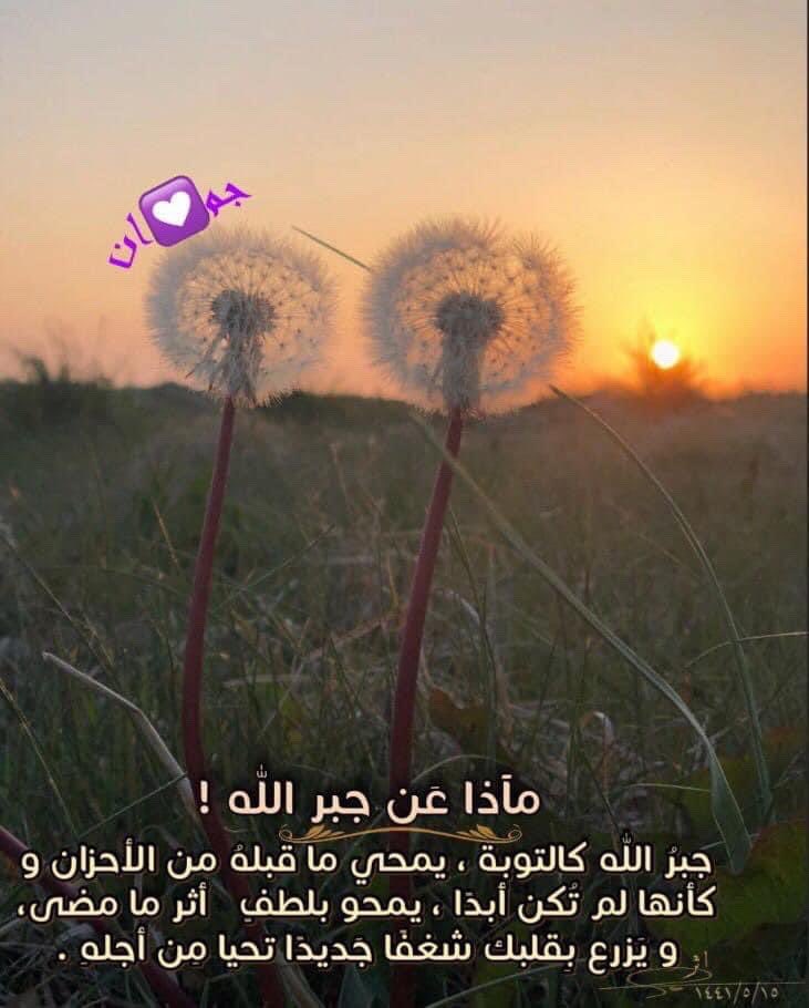 juman_en's tweet photo. ✍🏻✨ماذا عن جبر الله ♡❤️؟!

جبرُ الله  ♡❤️  گالتوبةِ ،،
يمحي ما قبله من الأحزان وكأنها لم تكن أبداً،،
يمحو بلطفٍ أثرَ  ما مضى ،،
ويزرعُ في قلبك شغفًا جديدًا  تحيا من أجله.

  🌹 صباحكم
    🌹 دعوات مجابة 
        🌹 تعااانق السماء فلا ترد... ♡❤️ https://t.co/HTAH8kI5Ui