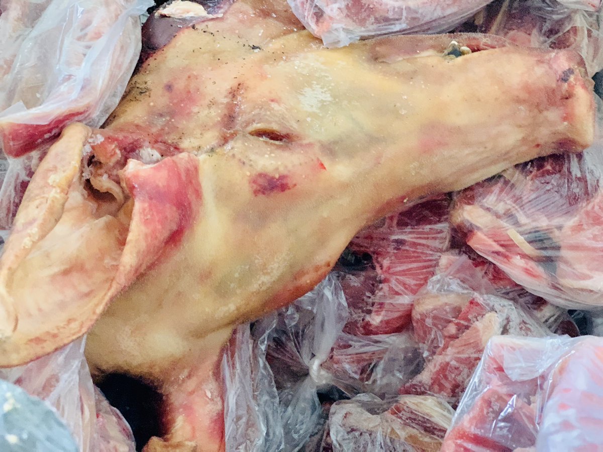 NthakoanaRamone's tweet photo. Hi my name is Nthakoana Ramone am a young farmer 👩‍🌾 from Lesotho 🇱🇸 ke sehoai sa liphoofolo ( poultry) 🐖  🐔 please buy my meat 🥩 😂😂 i will tell you my journey in farming ha nama e feela https://t.co/O2ZdxUTWET