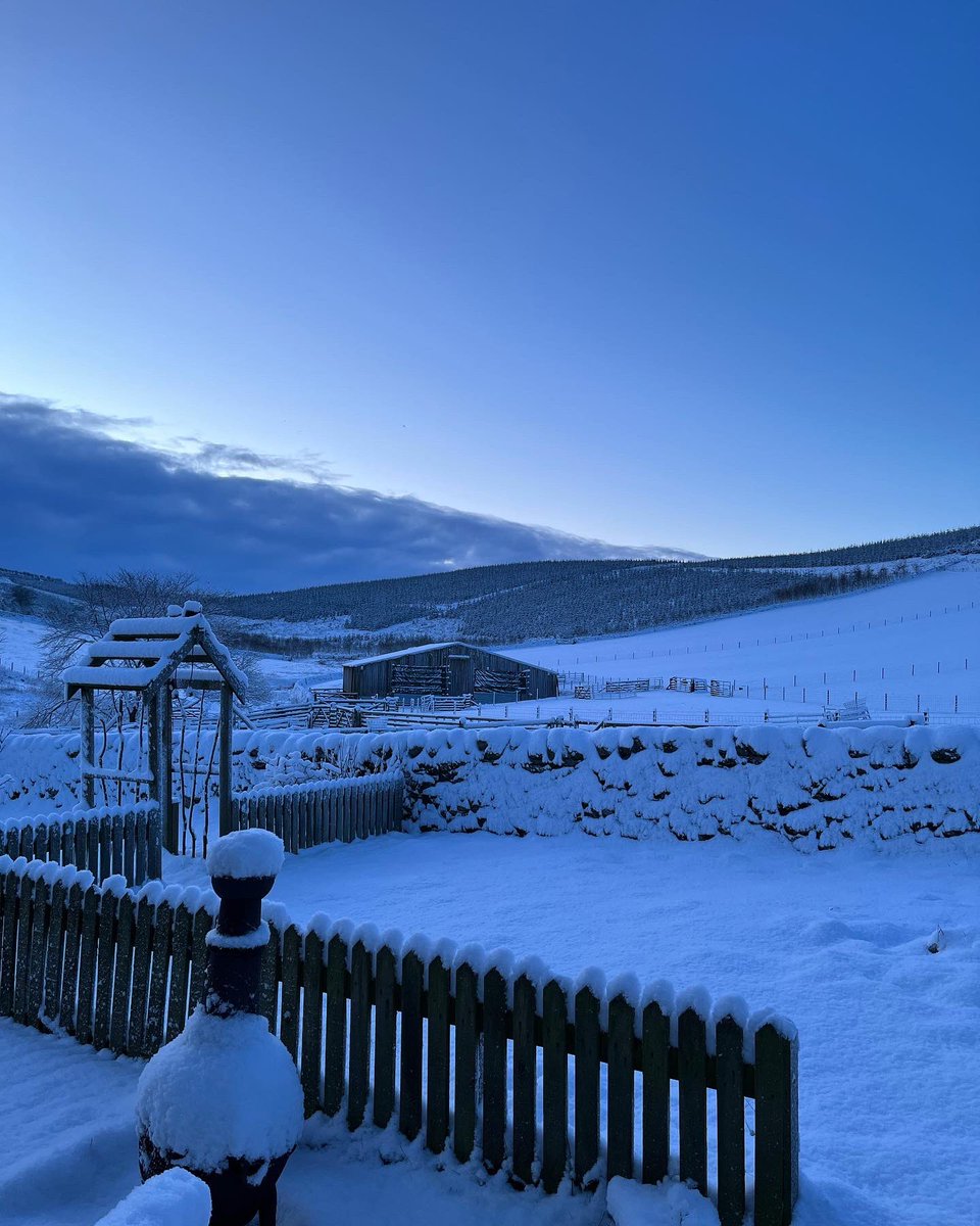 Sunset and sunrise. Wasn’t expecting the white stuff but it’s a beautiful day ❄️🦙#snowyscotland #lifeonthefarm