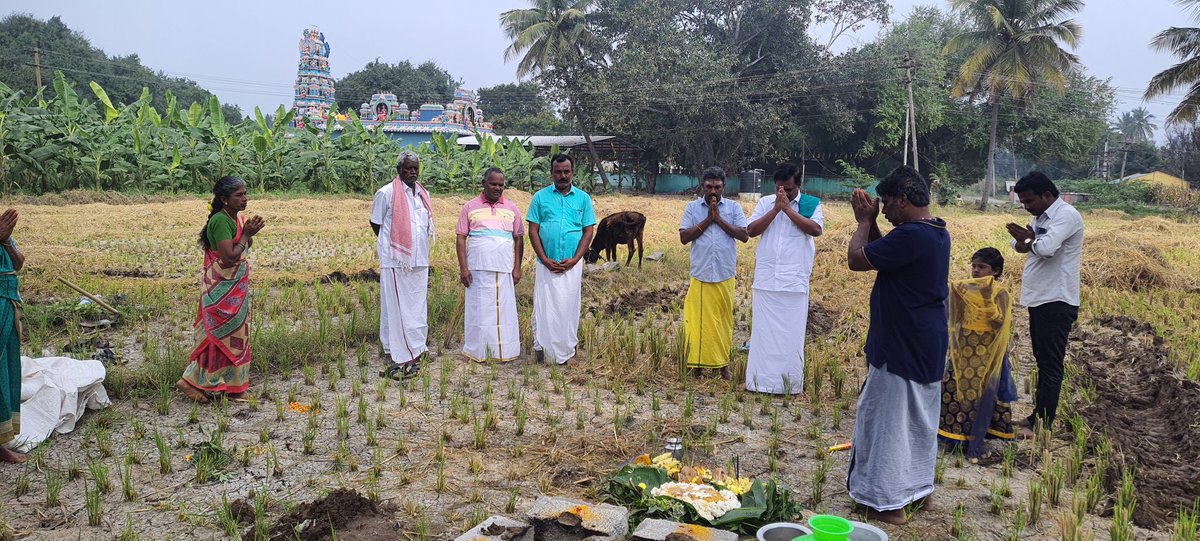 velusamyexmla's tweet photo. தமிழ்குடி பெருமக்களுக்கு மாட்டு பொங்கல் வாழ்த்துக்கள். https://t.co/fnFrhhxJYk