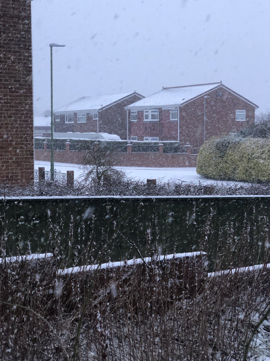 LouLou699's tweet image. Snowing #dh9 #uksnow #codurham