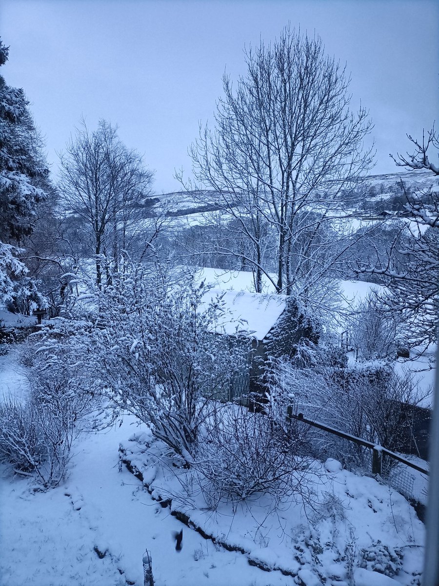 ecojojo69's tweet photo. Lovely view from my bedroom window this morning ☃️❄️😻 just not looking forward to driving in it later 🙀🚗🙀 https://t.co/DznUhmmp5y