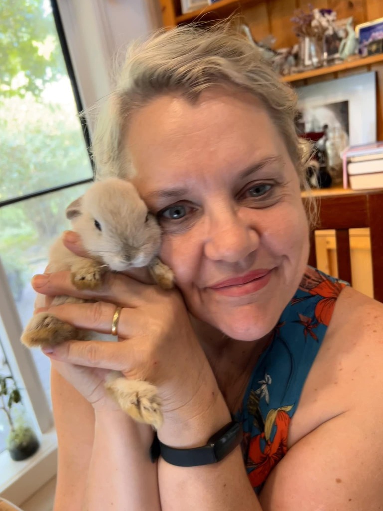 This is Bear the Bunny ❤️
.
.
.
.
.
.
.
.
.
#bunny #edenfarmvictoria #edenfarm #farmlife #ndissupport #farmprograms #Ability #farmtours #farmfun #minilops #visitvictoria #numurkah #VisitNumurkah #visitshepparton #murrayriver #suncountry #murrayfarmgatetr… instagr.am/p/CneCUcCBKlG/