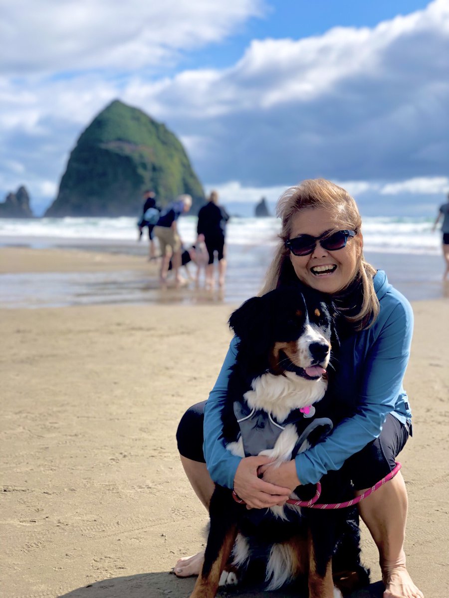 eobortolin's tweet image. Thanks for the reality check @bunsenbernerbmd - so sad yet true..I tried shelters for 1-2 yrs (not enough covid puppies) and ended up with #mygirlkuma after researching this amazing breed and checking out breeders for almost 2 yrs before taking the plunge 🐾❤️ #proudbernermom