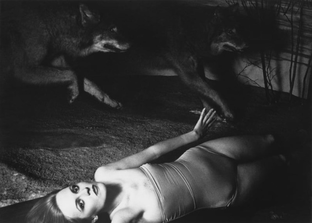 AGodyaykin's tweet photo. Francesca Woodman, Untitled, New York, 1979-1980 https://t.co/Cb7fkO6xol