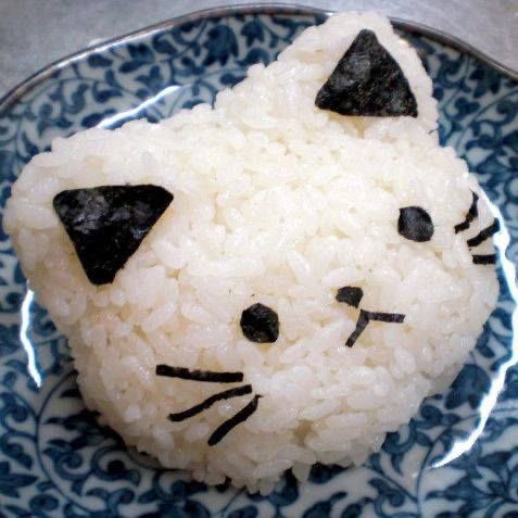 SoftnessDaily's tweet photo. cat rice balls 🎀 https://t.co/pDaEeC4MFf