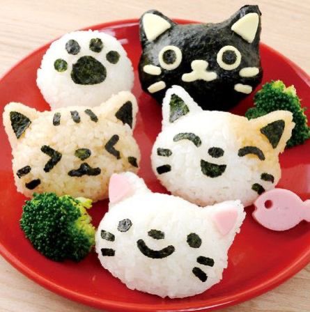SoftnessDaily's tweet photo. cat rice balls 🎀 https://t.co/pDaEeC4MFf