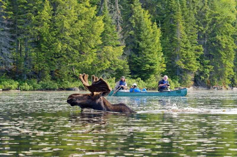 travelscast's tweet photo. Explore More at https://t.co/D4qlewf0nb
Please like, share and follow to @travelscast
#ontario #ontariocanada #ontariocraftbeer #ontariofit #ontariotravel #ontariowood #south #ontariolake #explore #pineforests #algonquin #explore #touriste #touro #us #vacation https://t.co/etXlPBwknu