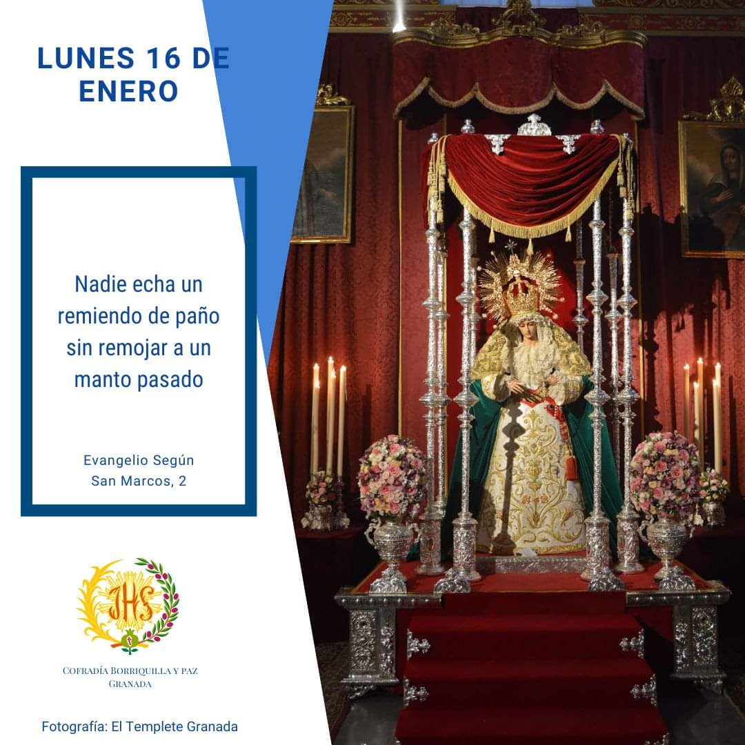 borriquillaypaz's tweet photo. ¡Feliz #Lunes!

👉Comenzamos la semana de la #FestividaddelaPaz recordando los altares que se han montado en los últimos años.

#Evangelio

📸 @ElTempleteGrana
 
#BorriquillayPaz https://t.co/etzvKHwKbE