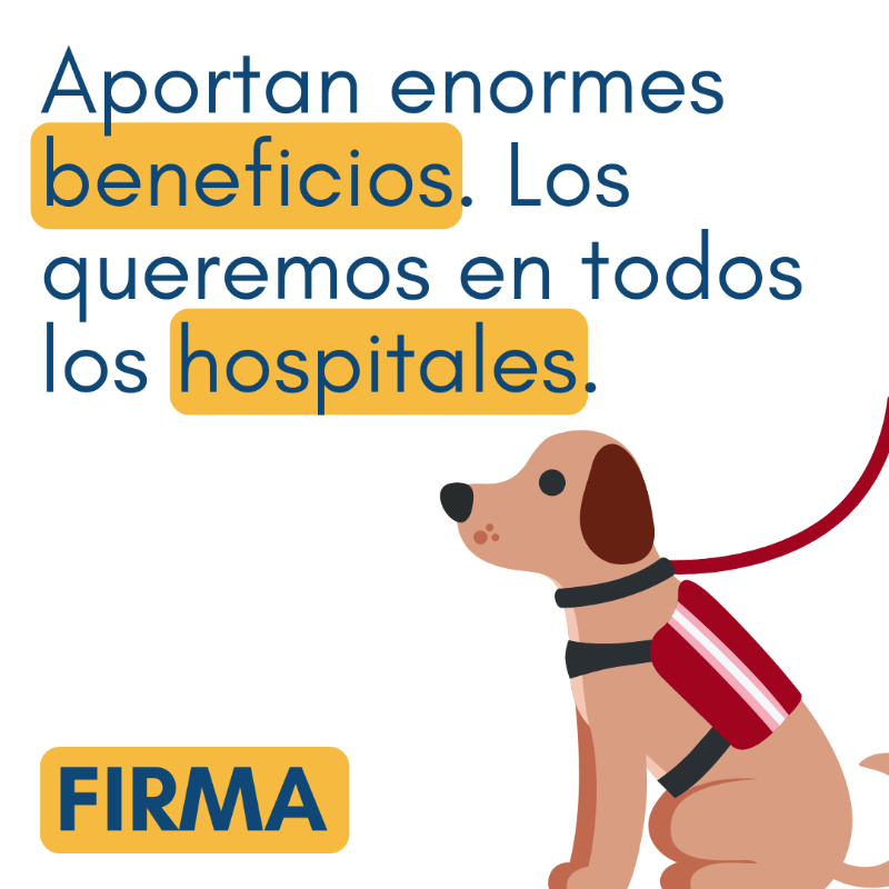 FundAladina's tweet photo. 🐶 Los perros tienen un don especial para conectar sin necesidad de palabras. Para muchos son un miembro más de la familia y también forman parte de la nuestra.

🧡 La canoterapia ha demostrado tener enormes beneficios en la salud de los niños con cáncer.