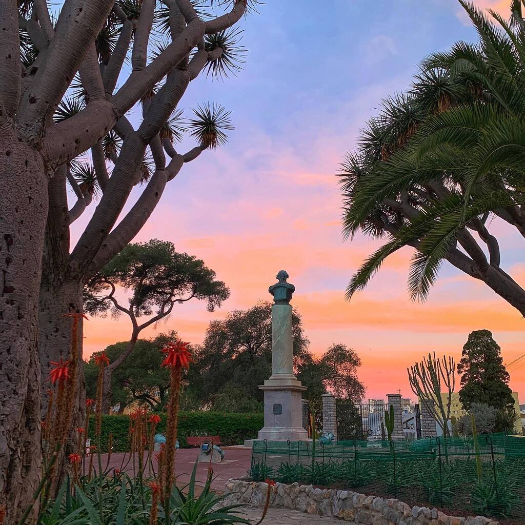 Today’s sunrise over the Gardens.
.
.
#alamedagardens #botanicalgardens #sunrise #gibraltar #landscape #visitgibraltar #photography instagr.am/p/Cnd--SNrAs_/