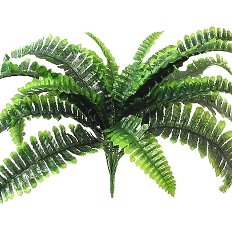 ShelfEdge's tweet photo. You'll never get bored with ferns! Our large #artificial boston fern bushes are just lush! 💚

Shop direct https://t.co/NIVhzwMFR8
Shop ebay https://t.co/5LAfW6EjbC

#bostonfern #ferndecor #greenerydecor #homedecor #MHHSBD https://t.co/o4qN1h3KJ7