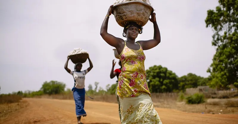 Women are disproportionately impacted by #climatechange, but when they have weak land tenure, they are more severely affected by #climate shocks in #rural and #urban areas. Read why securing land tenure is key to promote climate resilience: bit.ly/3CQilsO @UN_CSW #CSW66