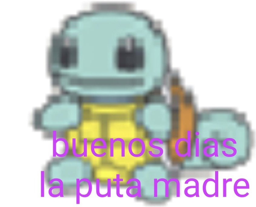 PokeCitas's tweet photo. https://t.co/5EfEhF0W7r
