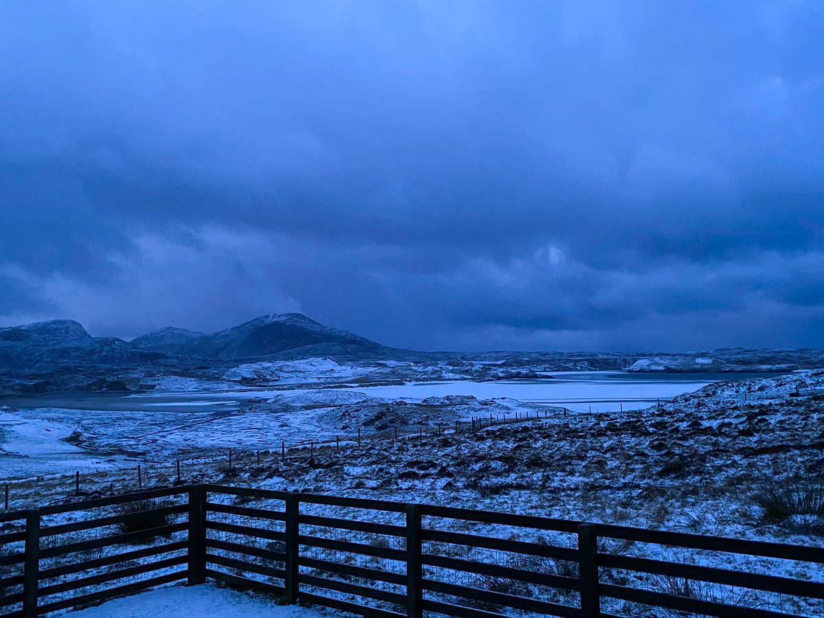 Stacey Macdonald tweet media