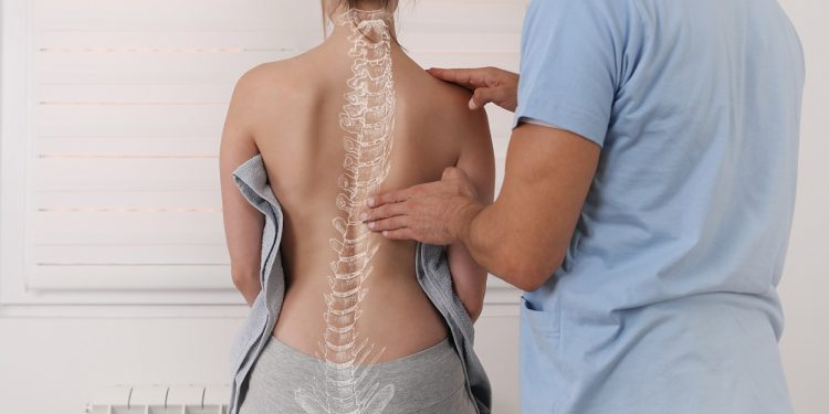 latorredebcn's tweet photo. Què és l'osteopatia? 🦴
https://t.co/P8ICZ7lV5G https://t.co/xnQjxLAs3C