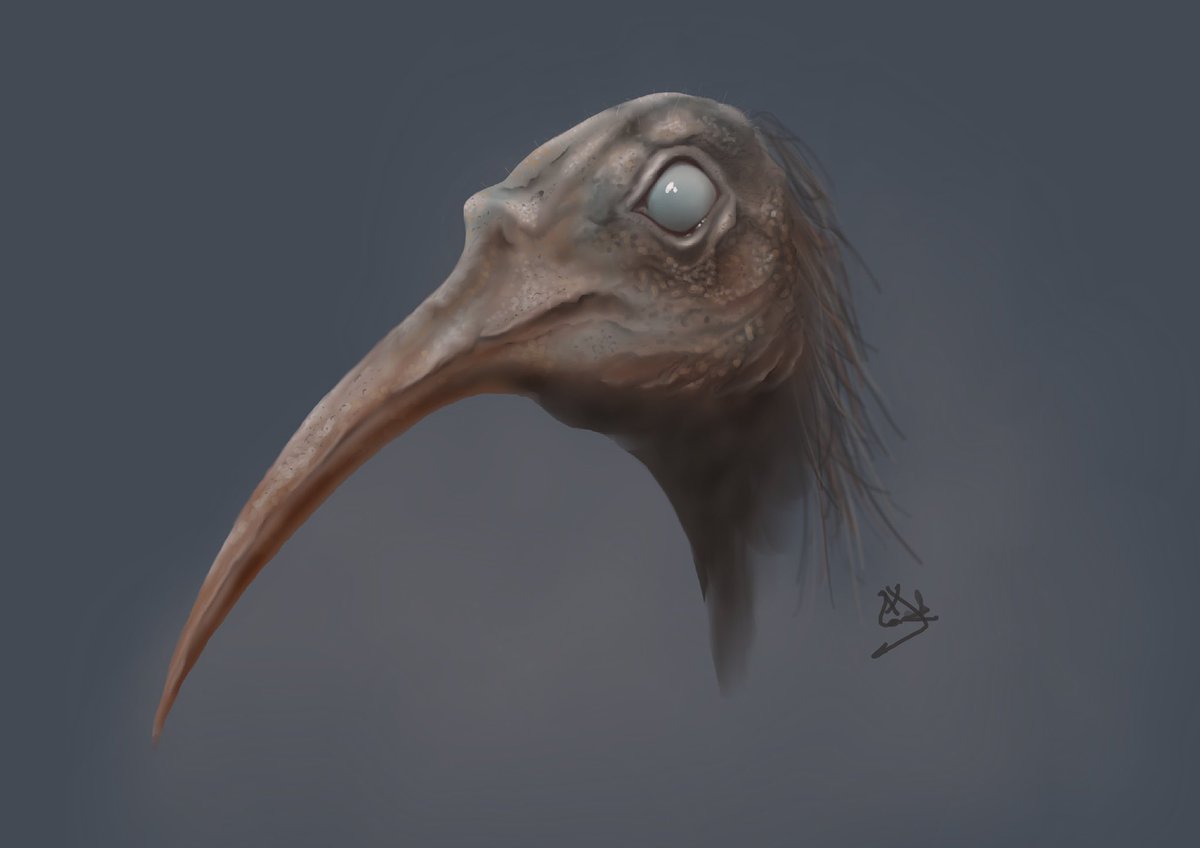 MichaelMeechArt's tweet photo. Sunday Procreate doodle, I think my roast chicken diner may have had an effect π€ #darkart #darkartists #procreateart #sundaysketch #michaelmeech #birdart #monsterbird https://t.co/mHsk9Tu2cM