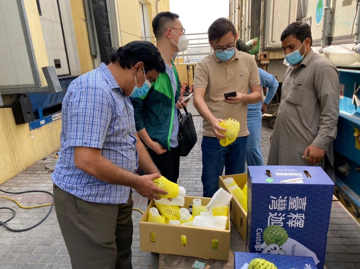 Oncidium cut-flowers undergo successful static trial shipment using Daikin Active controlled atmosphere (CA) technology - mailchi.mp/nextlevelinfo.…