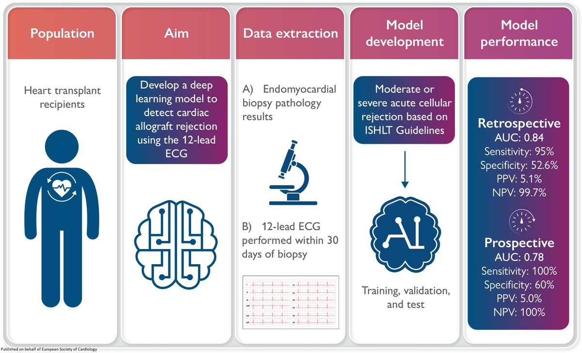 Non-invasive detection of cardiac allograft rejection among heart transplant recipients using an electrocardiogram-based #DeepLearning model academic.oup.com/ehjdh/advance-… #EHJDigital #ArtificialIntelligence @BruiningNico @rafavidalperez @GerdHindricks