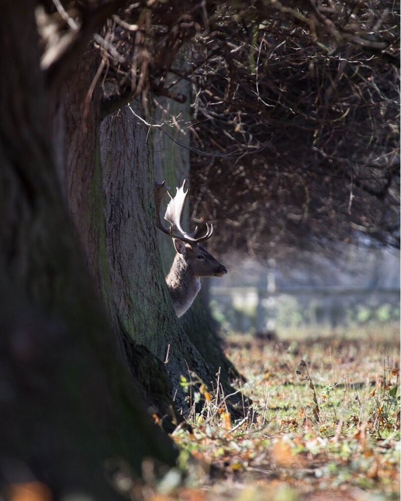 The lighting in the parkland during the winter seems casts beautiful shadows and highlights. We love to see photos from your visits in every season. Share them in the comments below or tag us when you next visit. #EveryoneNeedsNature