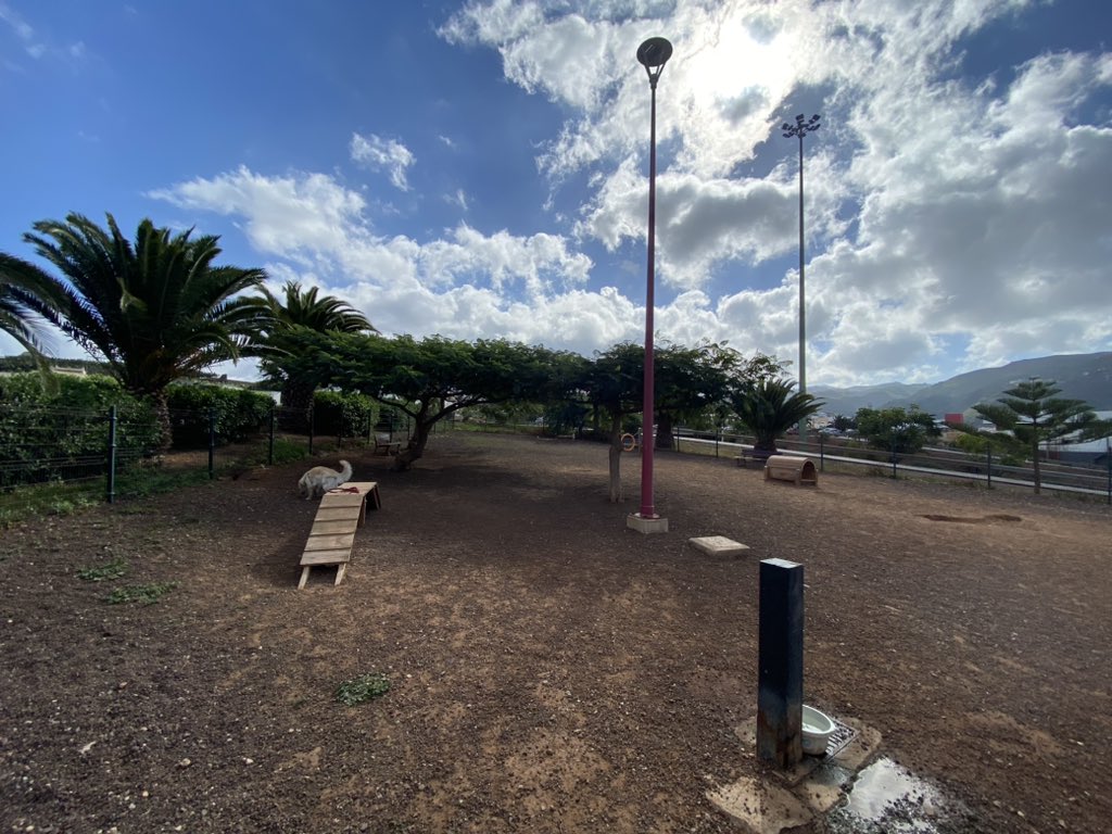 aleex_perez's tweet photo. Buenos días, quería preguntarle si es tan complicado ceder un terreno municipal para crear un parque de perros como este, que se encuentra en Guía y que está genial. No creo que se necesite mucho material para hacerlo y espacio sobra en el centro de Arucas. @jfacsua @RadioArucas https://t.co/uNST6W9t8b