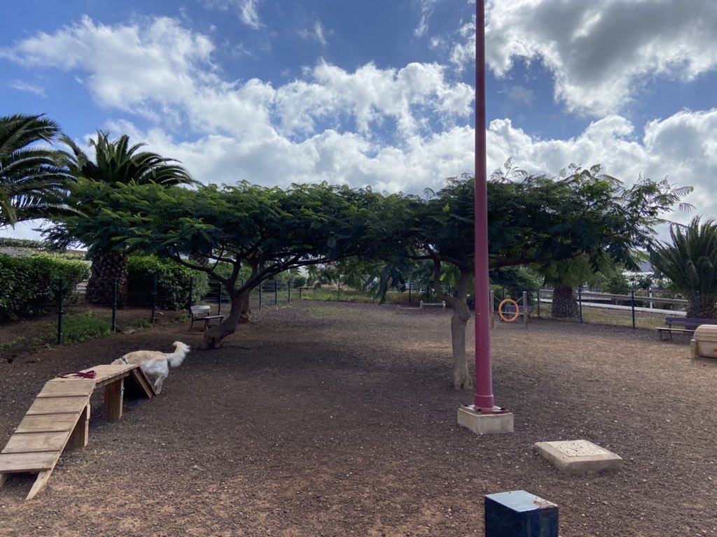 aleex_perez's tweet photo. Buenos días, quería preguntarle si es tan complicado ceder un terreno municipal para crear un parque de perros como este, que se encuentra en Guía y que está genial. No creo que se necesite mucho material para hacerlo y espacio sobra en el centro de Arucas. @jfacsua @RadioArucas https://t.co/uNST6W9t8b