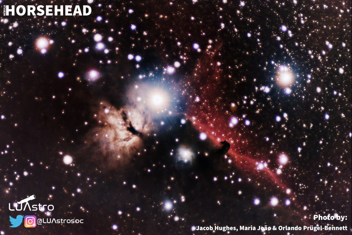 Welcome back! Here’s a photo of the Horsehead Nebula taken last term.