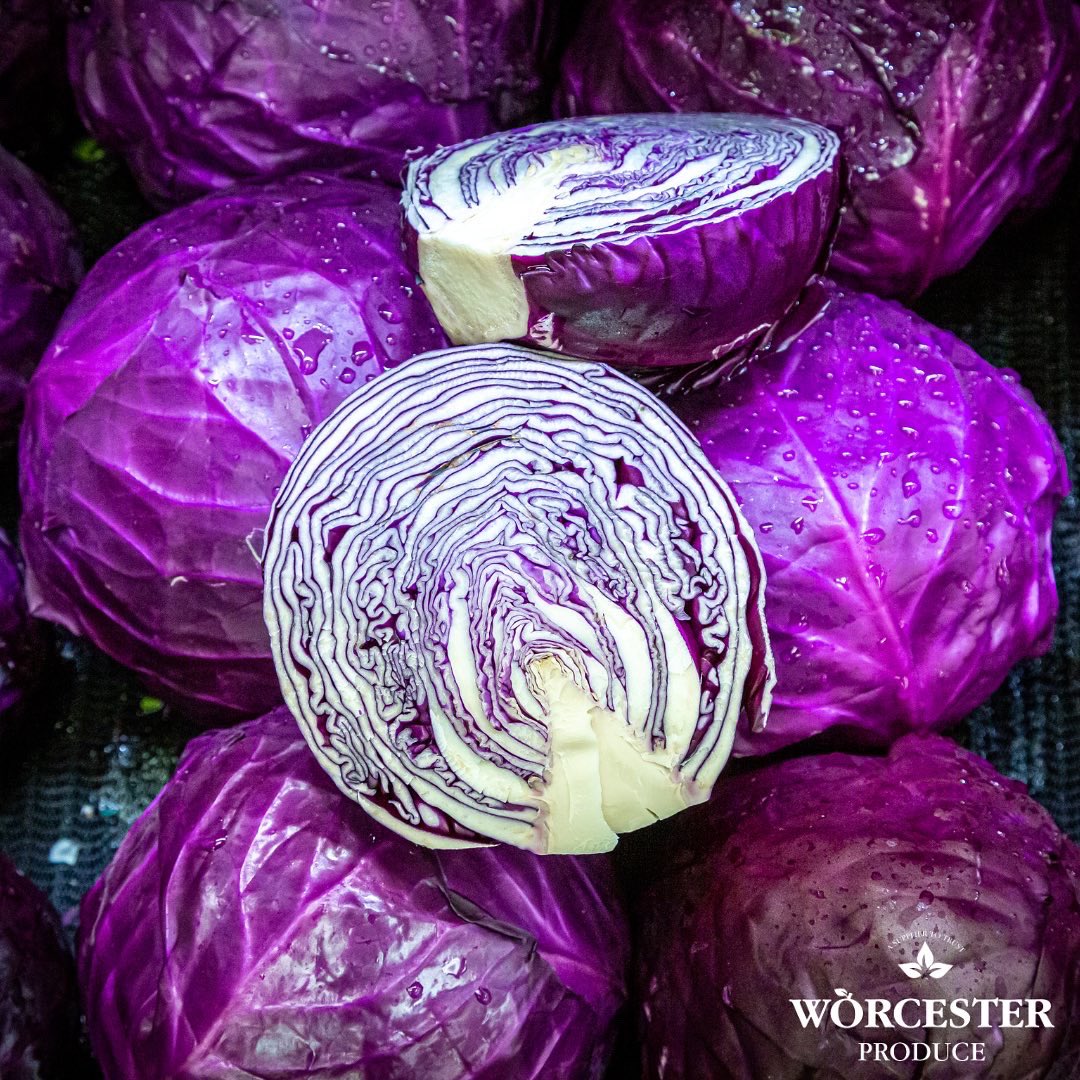 Hard Red Cabbages available fresh from our farm 🚜🇬🇧

#wholesale #wholesalers #ukproduce #freshproduce #produce #produceindustry #supportlocal #britishfarming #farming #growers #grower #britishproduce