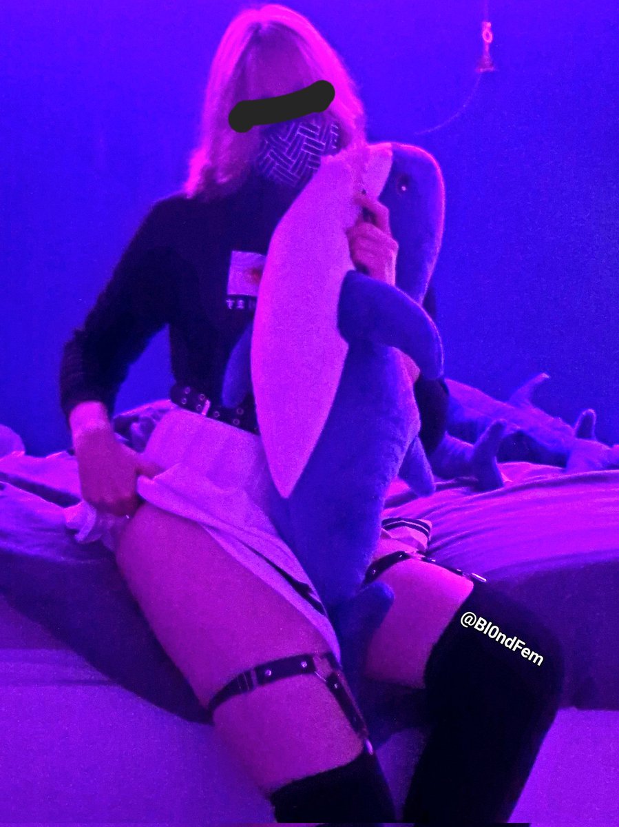Bl0ndFem's tweet photo. Lil sharkie https://t.co/Jt7hHXqBqw