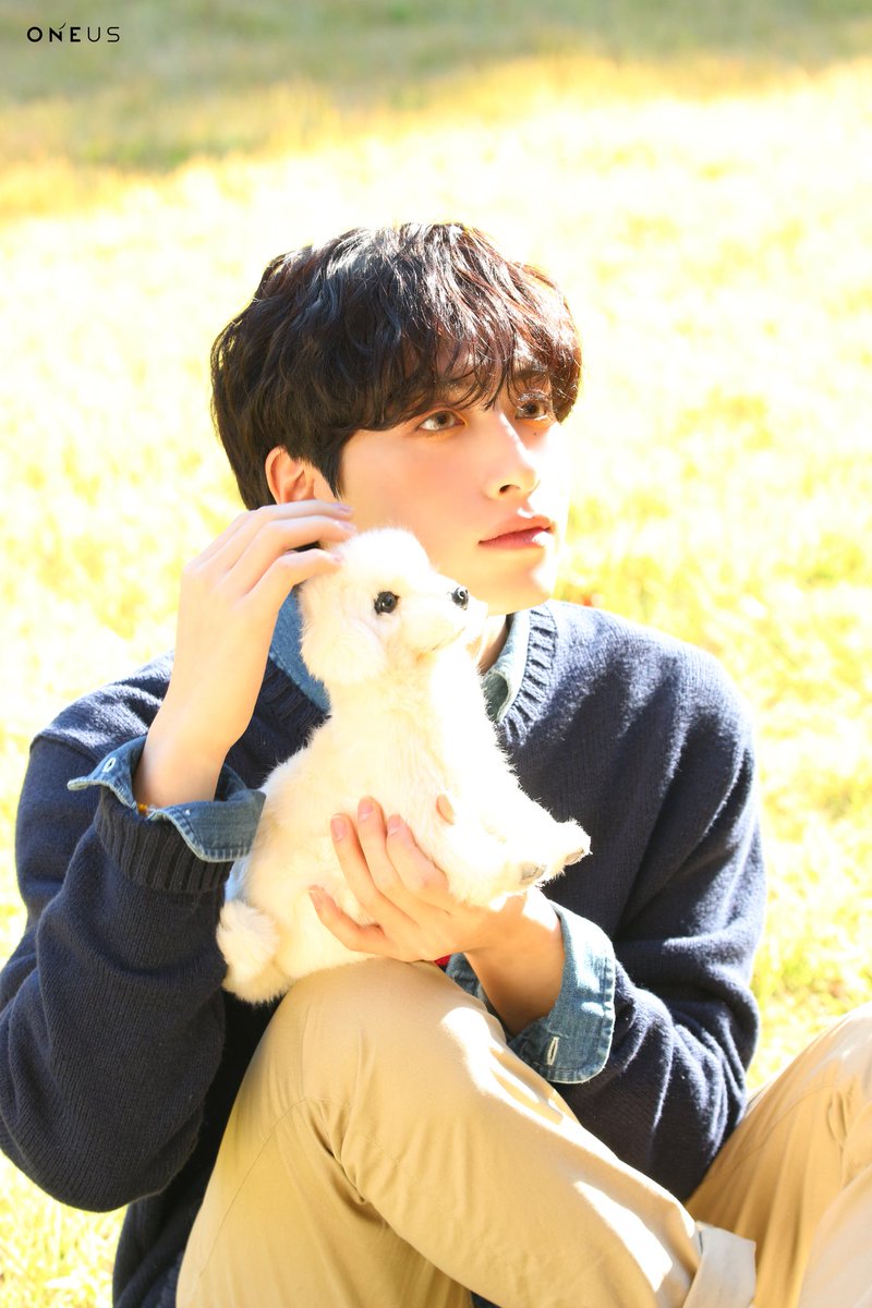pepper__one's tweet photo. 햇살 한가득 받은 사진 넘 조왁 https://t.co/XTYLvduXbz