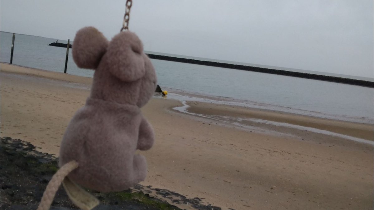 Geo_Minz's tweet photo. New picture for #TB4TYXD - Minz TB - Hamstermaus from @Bevervw 🇩🇪 thanks. Link to the TB https://t.co/DrMRv3J51F #geocaching #geocacher #trackable #diecast #minifigures https://t.co/s5KUgRNAWu