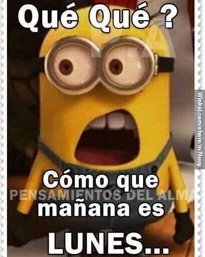 ¿¿¿NOOOOOOOOOOOOOOOO  PORQUE, PORQUE???