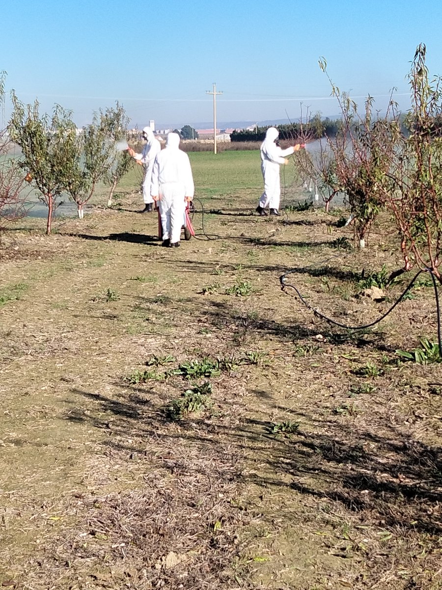 CPIFP_Movera's tweet photo. Los alumnos de 2ºCFGM Jardinería y Floristería, antes de marcharse de vacaciones de Navidad, realizaron tratamiento de invierno con oxicloruro de Cu y aceite de parafina. @fp_aragon #otraformadeaprender #cfgmjardineriayfloristeria https://t.co/p6aRBS6s3z