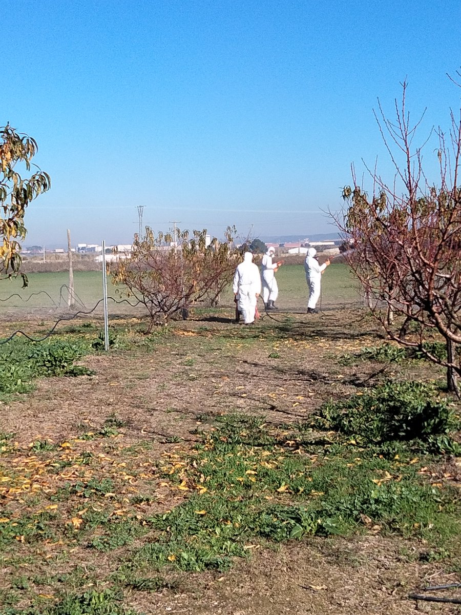CPIFP_Movera's tweet photo. Los alumnos de 2ºCFGM Jardinería y Floristería, antes de marcharse de vacaciones de Navidad, realizaron tratamiento de invierno con oxicloruro de Cu y aceite de parafina. @fp_aragon #otraformadeaprender #cfgmjardineriayfloristeria https://t.co/p6aRBS6s3z