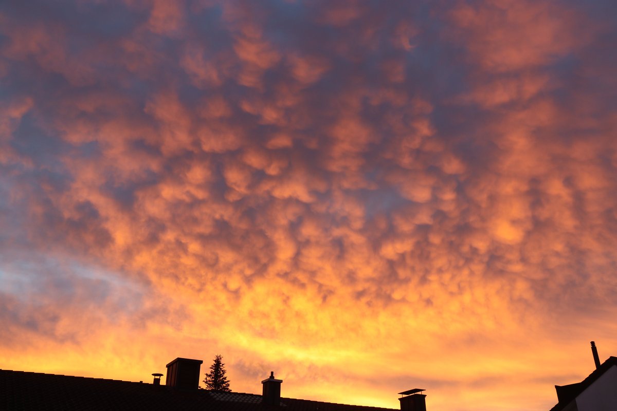meteoschweiz's tweet image. Die Vorboten des Tiefs #Gerard in Form von #Morgenrot. Das Sturmtief mit Kern über Benelux streift heute die #Alpennordseite und sorgt für starken, in der Westschweiz auch stürmischen Südwestwind.