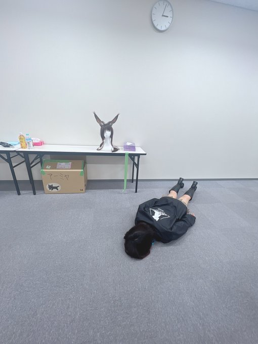 コスプレイヤー伊織もえのTwitter画像13
