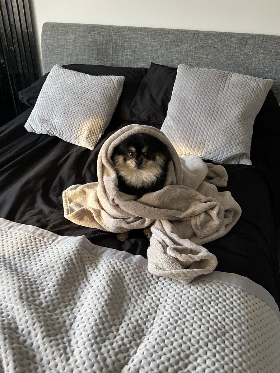 MrTeddyTedster (@andy_and_teddy) on Twitter photo 