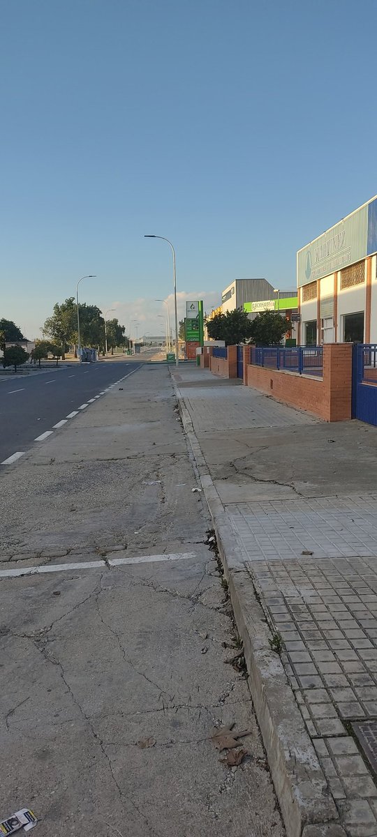 sostenibleyverd's tweet photo. ❗EN #UTRERA LA #BARBARIE CONTRA LOS #ARBOLES NO PARA❗
❗ESTAN #TALANDO TODOS LOS ARBOLES DEL TORNO❗
❗LO PEOR ❗
❗NO PIENSAN PLANTAR ÁRBOLES ❗
❗NO HAY NI UN ALCORQUE TODOS CEMENTADOS❗
❗NUESTRO #ALCALDE ES UN #ARBORICIDA❗
❗HAN CAIDO 38 POR AHORA❗ https://t.co/L4yyQ9xREI