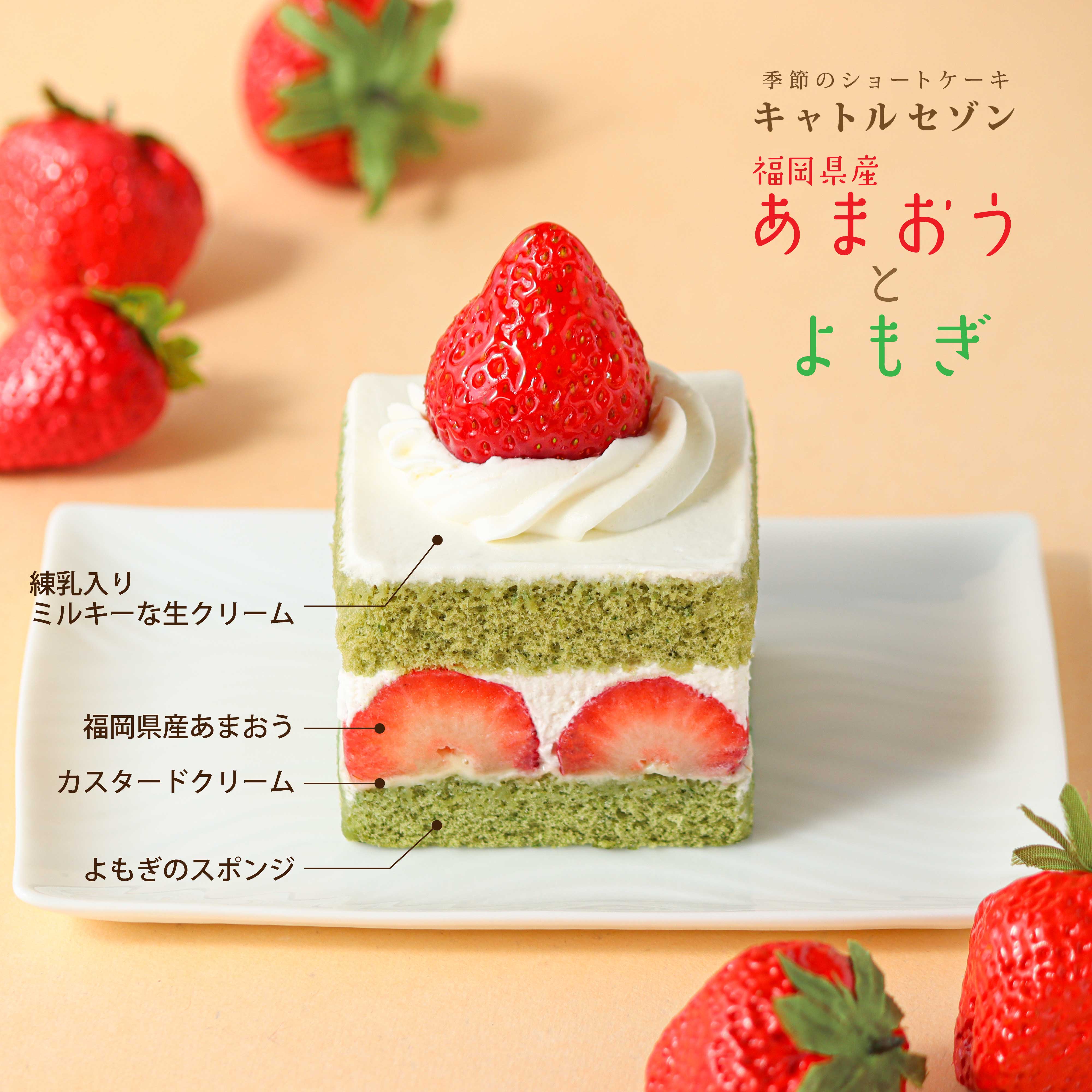 フキアージュのショートケーキ だいぶ小型化した？美味しいが