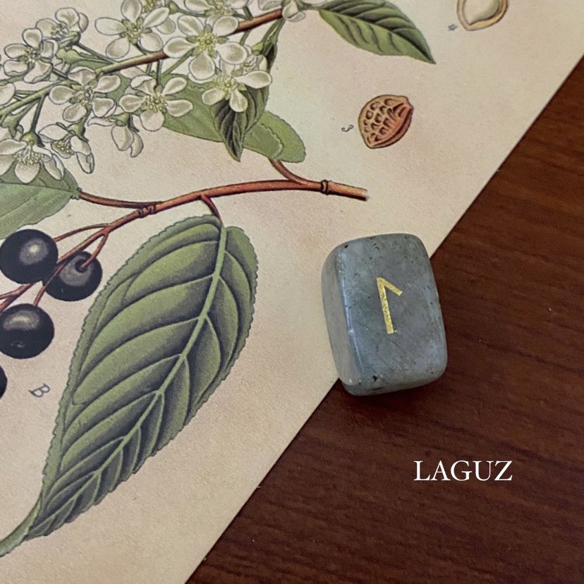 sio_crystal's tweet photo. ᛚ-拉古茲【LAGUZ】水能量

作為護身符給你交流

象徵情緒的海洋🌊

水是生命誕生的源頭，
也是一種創意與無限的體現。
順從直覺的感受、傾聽內心的話。
需要以水一般的心，💗
柔軟、包容與接納的態度去處理，
順勢而流但並非任憑擺布。

#盧恩符石 #盧恩 #盧恩符文 #盧恩符文占卜 #盧恩澤教練 https://t.co/aKJfuSVV8I