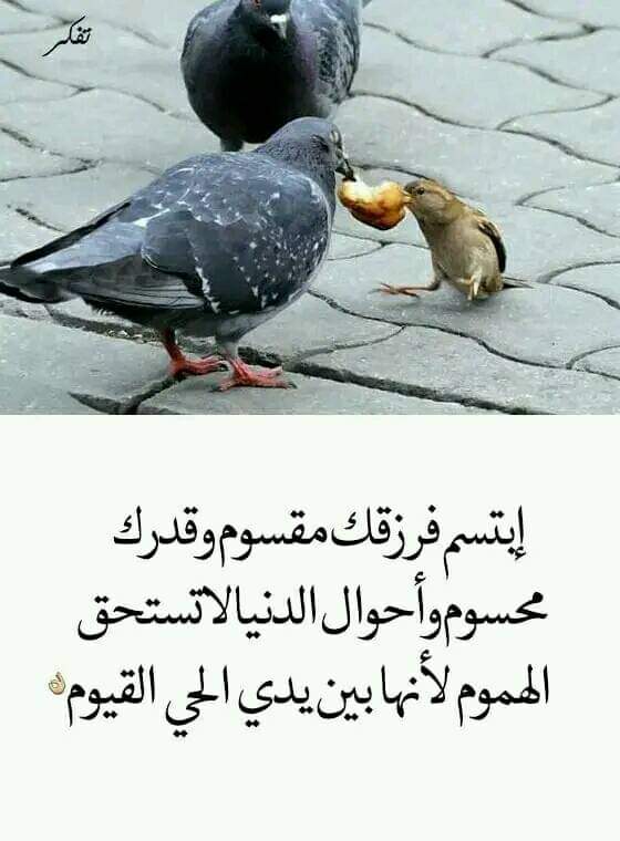 ماهر ابو راضى (@mhrbwry1) on Twitter photo 