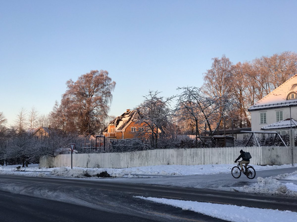 Markus Stitz tweet media